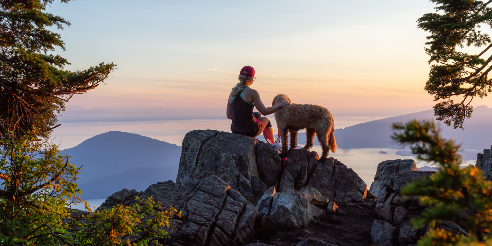 Girl and her dog overlooking a mountain view